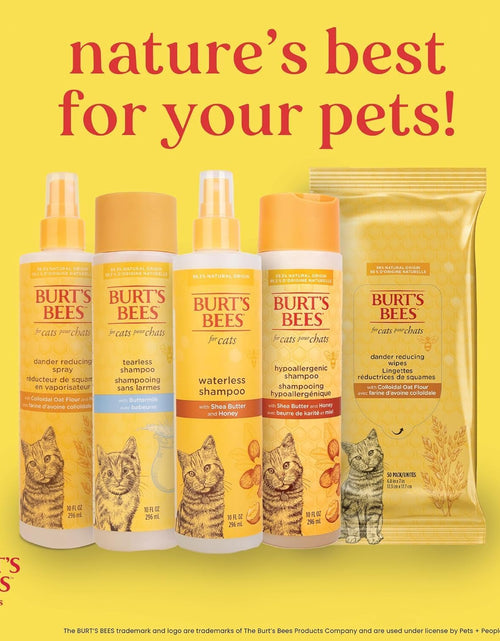 Load image into Gallery viewer, Cat Hypoallergenic Shampoo with Shea Butter &amp; Honey | Moisturizing &amp; Nourishing Cat Shampoo | Cruelty, Sulfate &amp; Paraben Free, Ph Balanced for Cats - Made in USA, 10 Oz - 2 Pack
