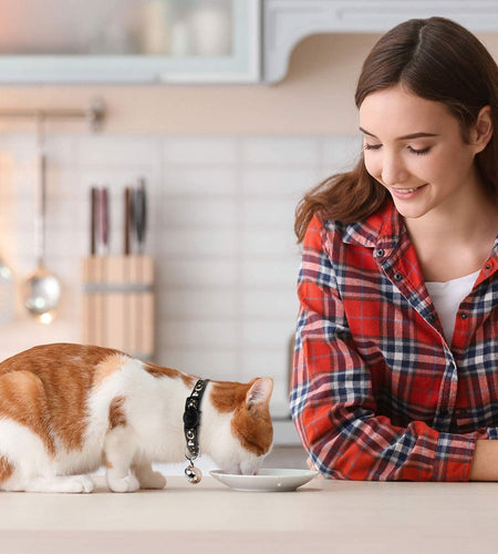 2PCS Breakaway Cat Collars with Bell Moons Stars Cute Kitty Adjustable Safe Kitten Collars with Pendant Glow in the Dark(Black&Purple)