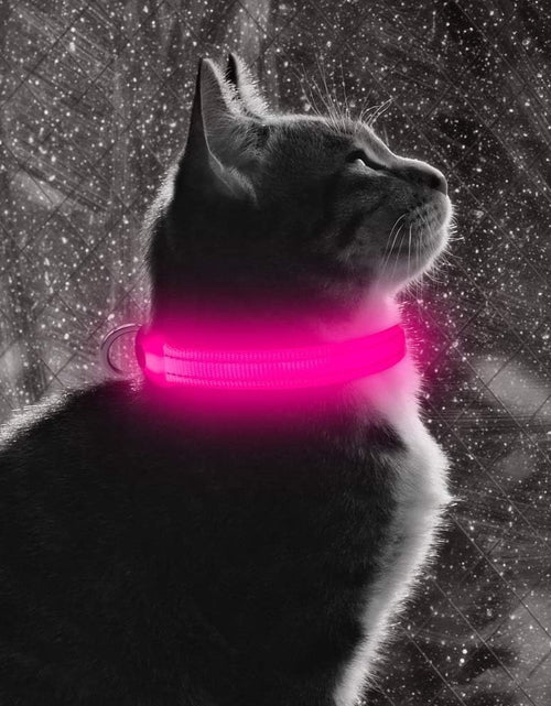 Load image into Gallery viewer, XS LED Dog Collar - Adjustable USB Rechargeable Glowing Pet Collar, Light up Collars for Small Dogs&amp; Cats
