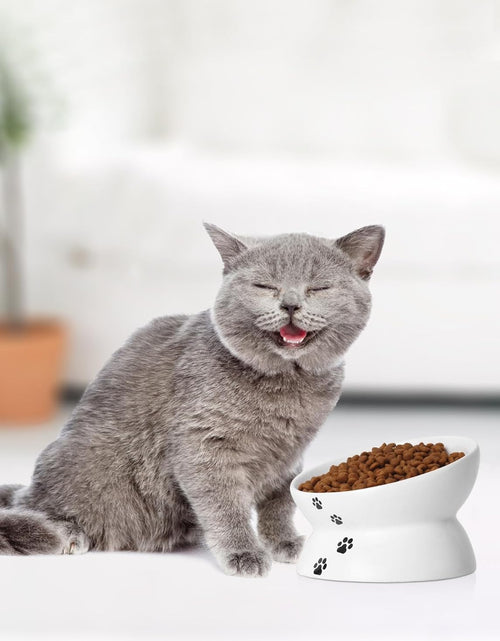 Load image into Gallery viewer, Cat Bowl anti Vomiting, Raised Cat Food Bowls, Tilted Elevated Cat Bowl, Ceramic Pet Food Bowl for Flat Faced Cats, Small Dogs, Protect Pet'S Spine, Dishwasher Safe
