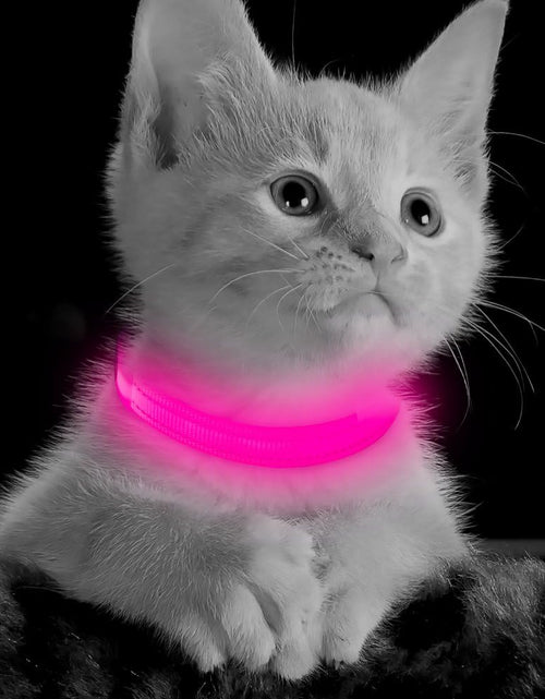 Load image into Gallery viewer, XS LED Dog Collar - Adjustable USB Rechargeable Glowing Pet Collar, Light up Collars for Small Dogs&amp; Cats
