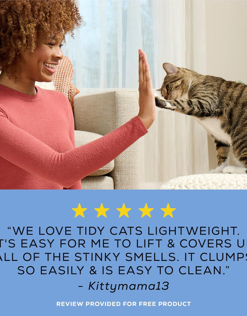 Load image into Gallery viewer, Purina  Lightweight 4-In-1 Strength Clumping Cat Litter
