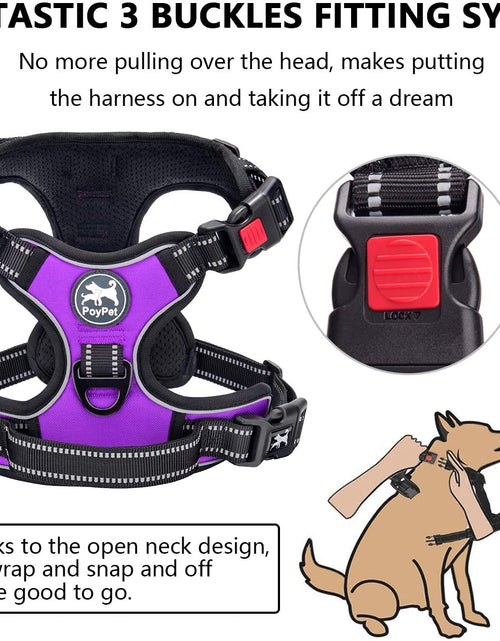 Load image into Gallery viewer, No Pull Dog Harness, No Choke Front Clip Dog Reflective Harness, Adjustable Soft Padded Pet Vest with Easy Control Handle for Small to Large Dogs(Purple,M)

