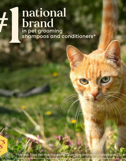 Load image into Gallery viewer, Cat Hypoallergenic Shampoo with Shea Butter &amp; Honey | Moisturizing &amp; Nourishing Cat Shampoo | Cruelty, Sulfate &amp; Paraben Free, Ph Balanced for Cats - Made in USA, 10 Oz - 2 Pack
