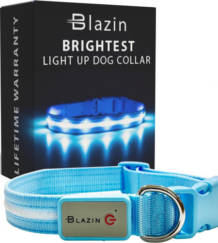 LED Light up Dog Collar - 1,000 Feet of Visibility - Brightest for Night Safety - USB Rechargeable with Water Resistant Glowing Dog Collar Light