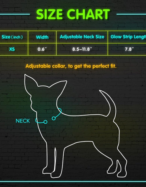 Load image into Gallery viewer, XS LED Dog Collar - Adjustable USB Rechargeable Glowing Pet Collar, Light up Collars for Small Dogs&amp; Cats
