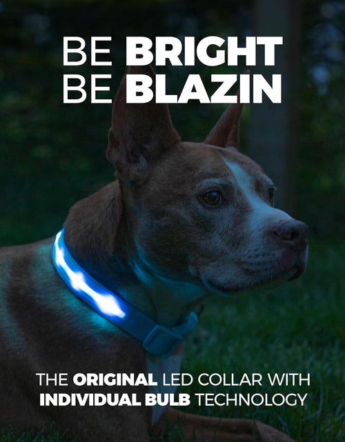 Load image into Gallery viewer, LED Light up Dog Collar - 1,000 Feet of Visibility - Brightest for Night Safety - USB Rechargeable with Water Resistant Glowing Dog Collar Light
