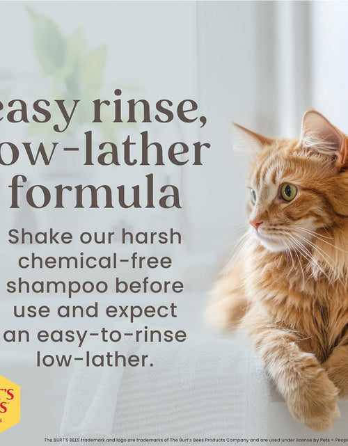 Load image into Gallery viewer, Cat Hypoallergenic Shampoo with Shea Butter &amp; Honey | Moisturizing &amp; Nourishing Cat Shampoo | Cruelty, Sulfate &amp; Paraben Free, Ph Balanced for Cats - Made in USA, 10 Oz - 2 Pack
