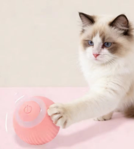 Automatic Electric Cat Ball Toy Interactive Rolling Smart Self-Moving Kitten Plaything for Indoor Cats Training and Fun