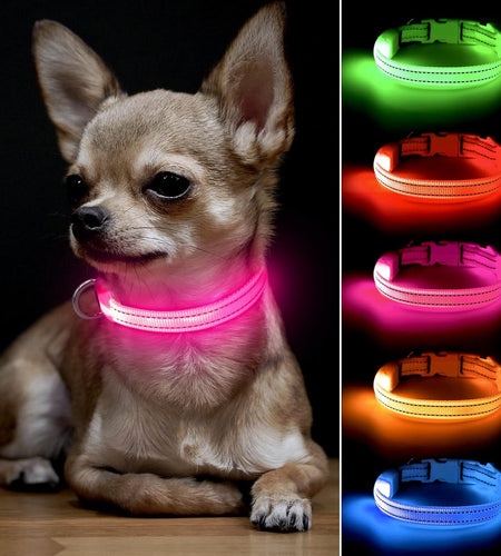 XS LED Dog Collar - Adjustable USB Rechargeable Glowing Pet Collar, Light up Collars for Small Dogs& Cats
