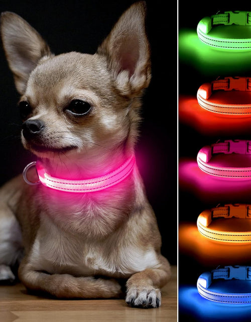 Load image into Gallery viewer, XS LED Dog Collar - Adjustable USB Rechargeable Glowing Pet Collar, Light up Collars for Small Dogs&amp; Cats
