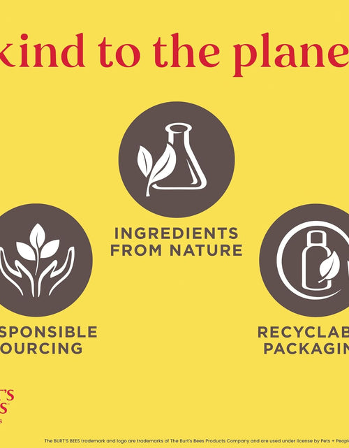 Load image into Gallery viewer, Cat Hypoallergenic Shampoo with Shea Butter &amp; Honey | Moisturizing &amp; Nourishing Cat Shampoo | Cruelty, Sulfate &amp; Paraben Free, Ph Balanced for Cats - Made in USA, 10 Oz - 2 Pack
