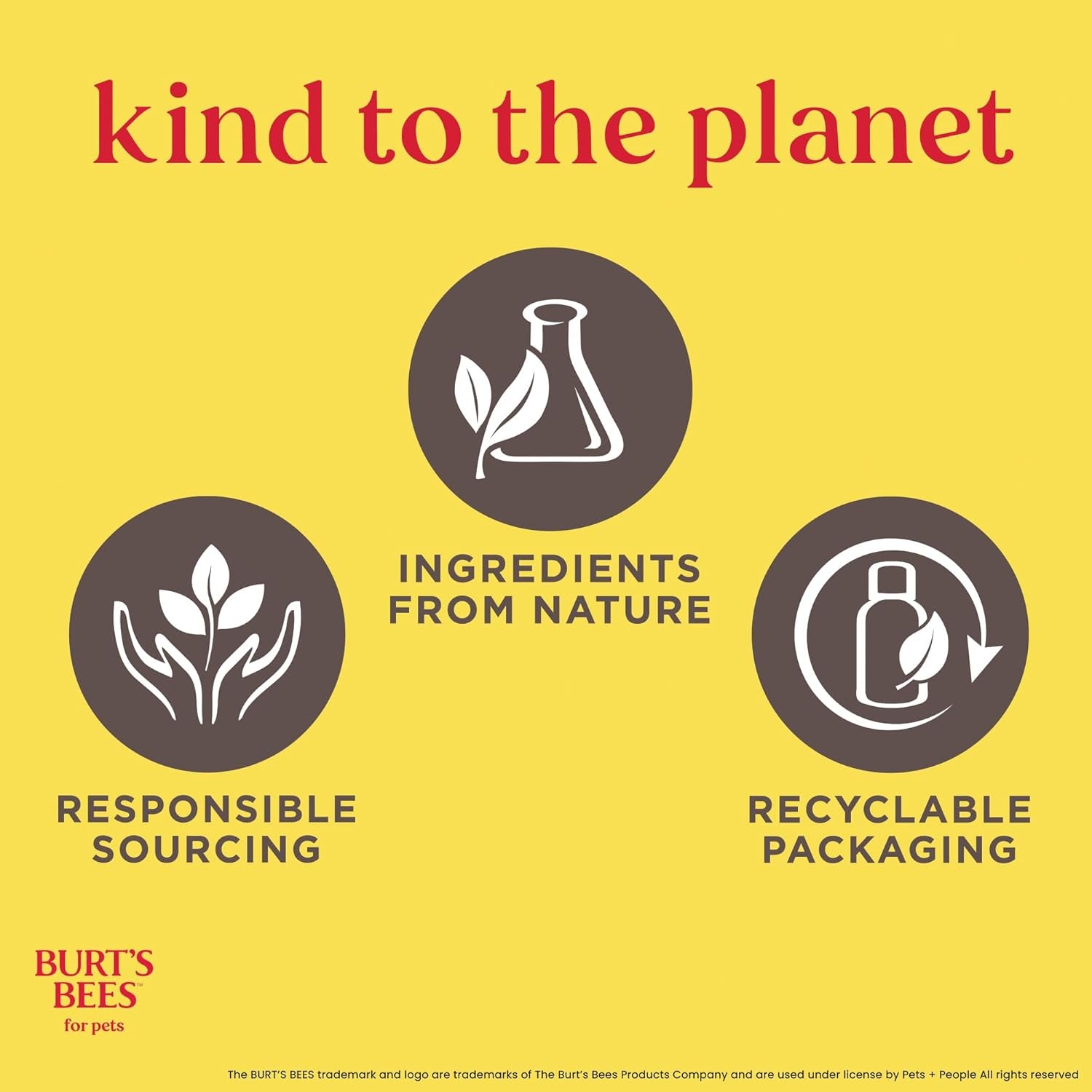 Cat Hypoallergenic Shampoo with Shea Butter & Honey | Moisturizing & Nourishing Cat Shampoo | Cruelty, Sulfate & Paraben Free, Ph Balanced for Cats - Made in USA, 10 Oz - 2 Pack