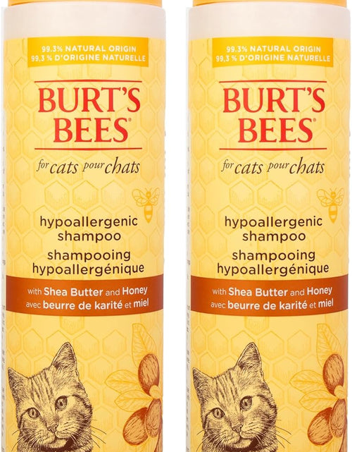 Load image into Gallery viewer, Cat Hypoallergenic Shampoo with Shea Butter &amp; Honey | Moisturizing &amp; Nourishing Cat Shampoo | Cruelty, Sulfate &amp; Paraben Free, Ph Balanced for Cats - Made in USA, 10 Oz - 2 Pack
