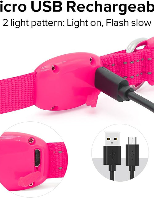 Load image into Gallery viewer, XS LED Dog Collar - Adjustable USB Rechargeable Glowing Pet Collar, Light up Collars for Small Dogs&amp; Cats
