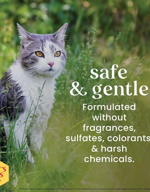 Load image into Gallery viewer, Cat Hypoallergenic Shampoo with Shea Butter &amp; Honey | Moisturizing &amp; Nourishing Cat Shampoo | Cruelty, Sulfate &amp; Paraben Free, Ph Balanced for Cats - Made in USA, 10 Oz - 2 Pack
