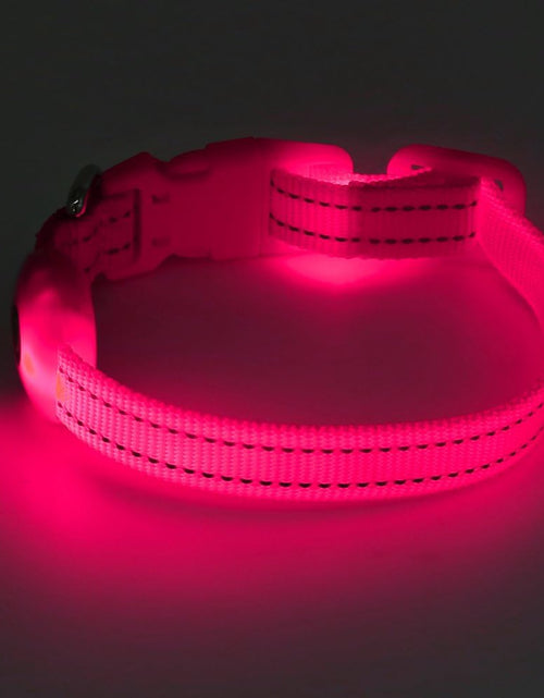 Load image into Gallery viewer, XS LED Dog Collar - Adjustable USB Rechargeable Glowing Pet Collar, Light up Collars for Small Dogs&amp; Cats
